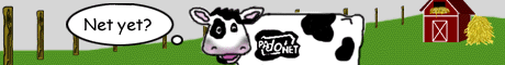 cow.gif - 11.33 K